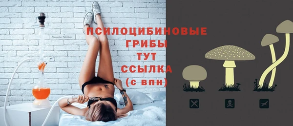 PSILOCYBIN Наволоки