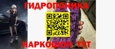 ГАЛЛЮЦИНОГЕННЫЕ ГРИБЫ Гусь-Хрустальный