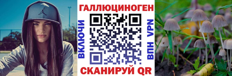 цены   Котельники  Галлюциногенные грибы прущие грибы 