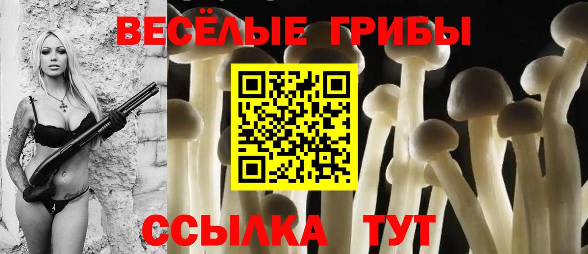 Псилоцибиновые грибы MAGIC MUSHROOMS  Вход с VPN  Псилоцибиновые грибы Magic Shrooms  Котельники 